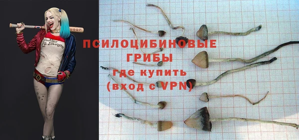 кокс Алзамай