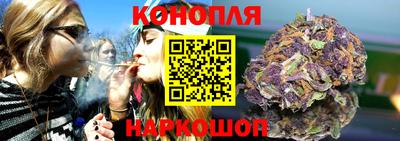стаф Донской
