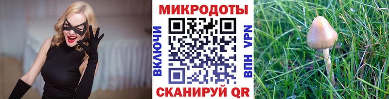 Галлюциногенные грибы Magic Shrooms  дарк нет Telegram  Муравленко  купить наркотики сайты 