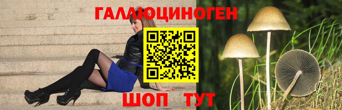 Псилоцибиновые грибы Psilocybine cubensis Муравленко