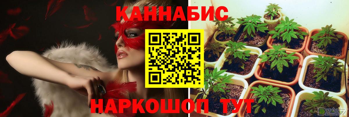 Бошки марихуана план  МАРИХУАНА Bruce Banner  Канабис Bruce Banner  Муравленко  Вход с VPN 
